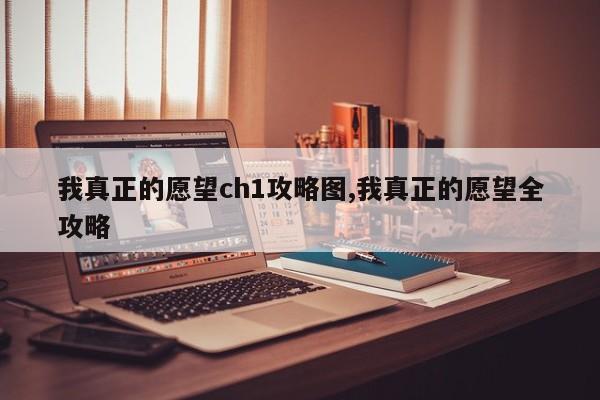 我真正的愿望ch1攻略图,我真正的愿望全攻略