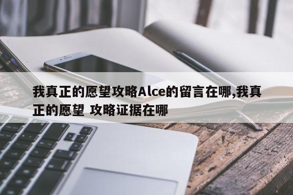 我真正的愿望攻略Alce的留言在哪,我真正的愿望 攻略证据在哪