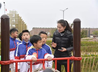 出游兴义攻略亲子游戏(兴义旅游景点一日游)