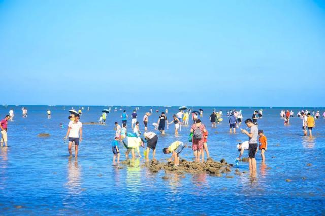 女生赶海攻略游戏视频下载(女的赶海)