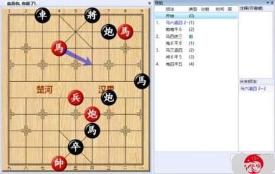 风影象棋攻略游戏大全(风影象棋攻略游戏大全视频)