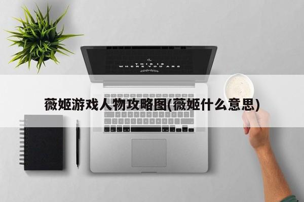 薇姬游戏人物攻略图(薇姬什么意思)